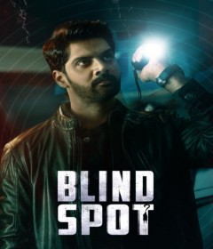 Blind Spot (2025) ORG Hindi Dubbed Movie
