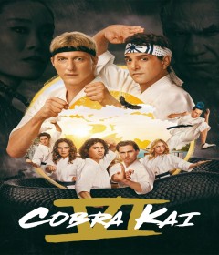 Cobra Kai (2025) Season 6 Part 3 Hindi Dubbed Series