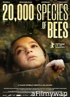 20,000 Species of Bees (2023) HQ Hindi Dubbed Movie