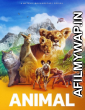 Animal (2022) Hindi Dubbed Season 1 Complete Shows