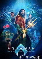 Aquaman And The Lost Kingdom (2023) ORG Hindi Dubbed Movie