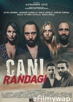 Cani randagi (2023) HQ Tamil Dubbed Movie