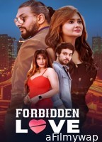 Forbidden Love (2024) Hindi Movie