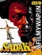 Sadak (1991) Hindi Movie