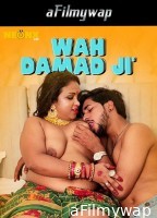 Wah Damad Ji (2024) Neonx Hindi Hot Short Film